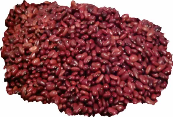 small_red_seda_beans